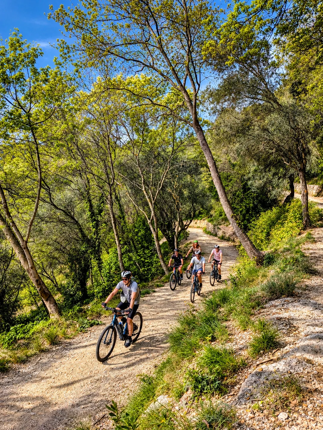 Sortie groupe à vélo sur chemin dans la nature