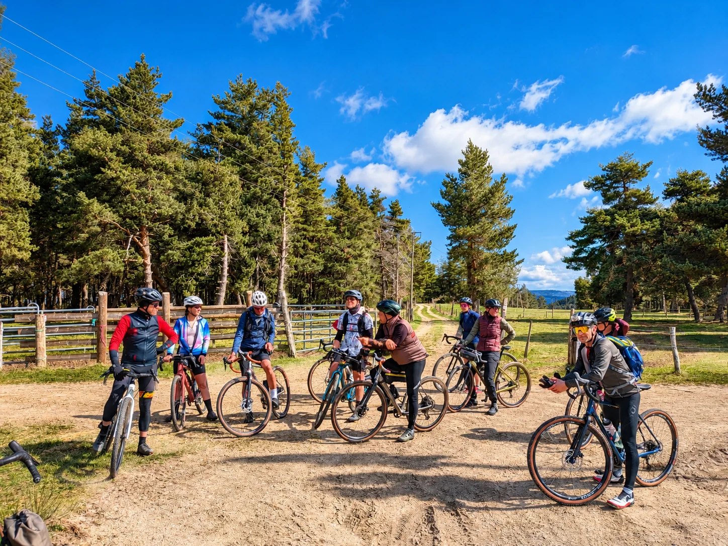 Groupe de cyclistes en pause en forêt